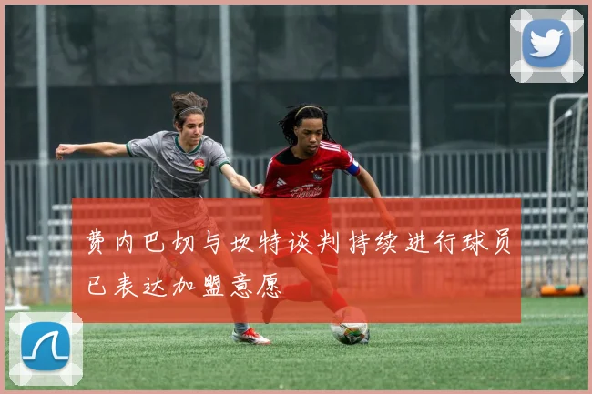 费内巴切与坎特谈判持续进行球员已表达加盟意愿